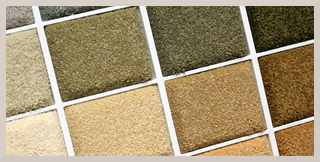 Raleigh Carpet - Plush Carpet