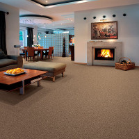 Carpet Gallery - Living Room